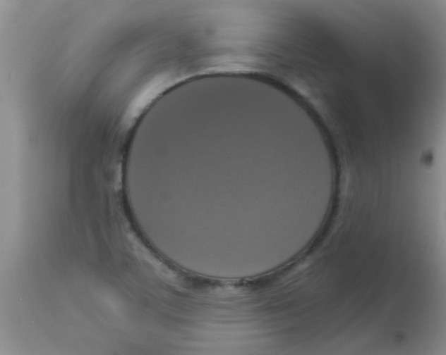 X0000113951459200910231955