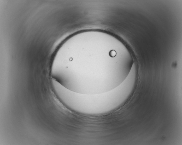 X0000113951460200910231955