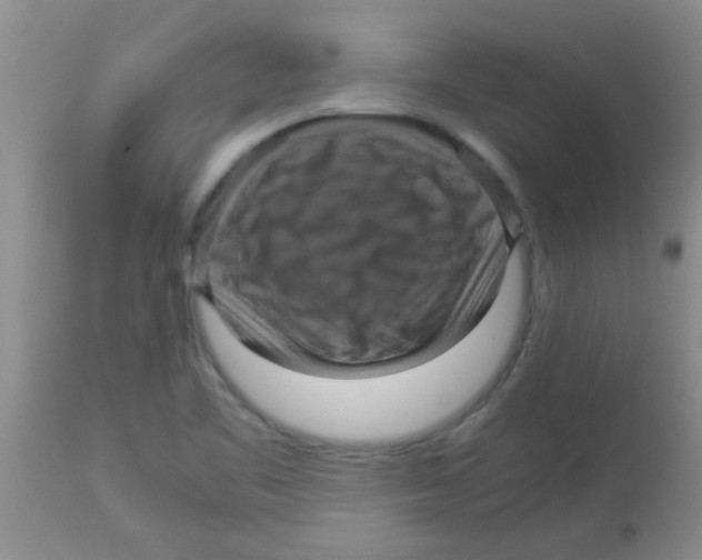 X0000113951461200910231955