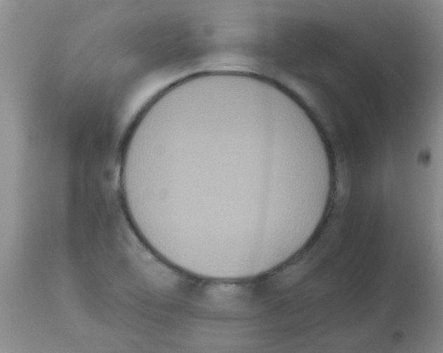 X0000113951462200910231955
