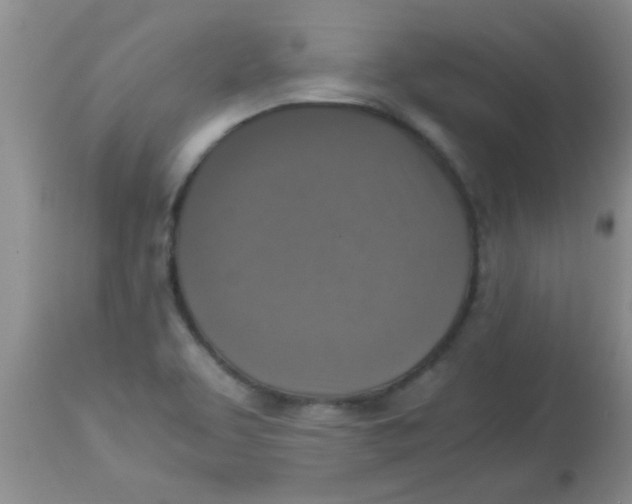 X0000113951463200910231955