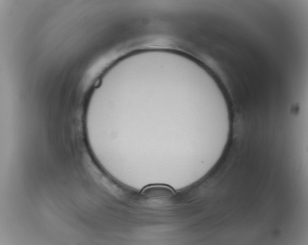 X0000113951464200910231955