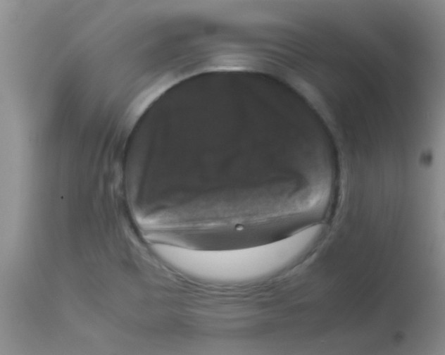 X0000113951465200910231955