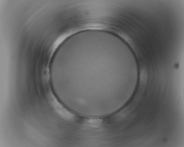 X0000113951466200910231955