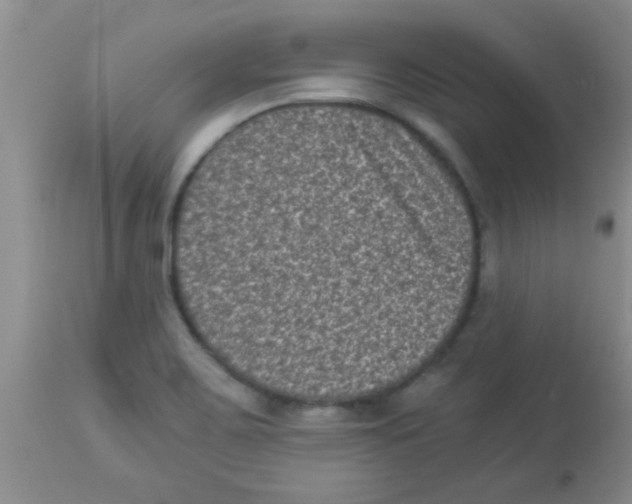X0000113951467200910231955