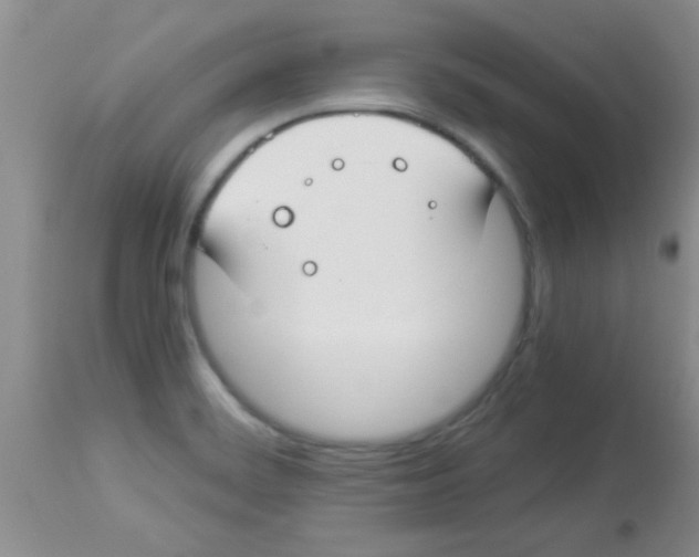 X0000113951468200910231955