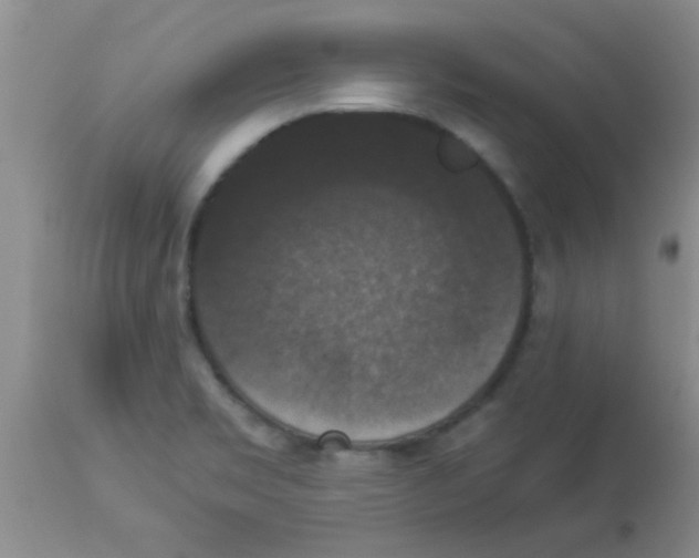 X0000113951469200910231955