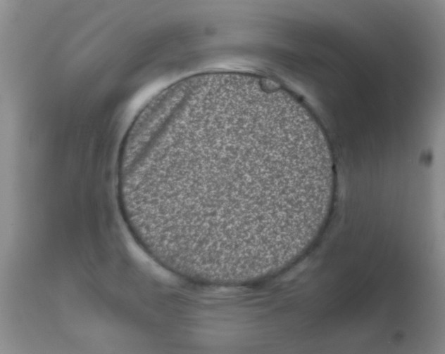 X0000113951471200910231955
