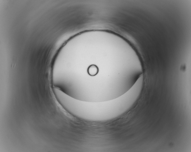 X0000113951472200910231955