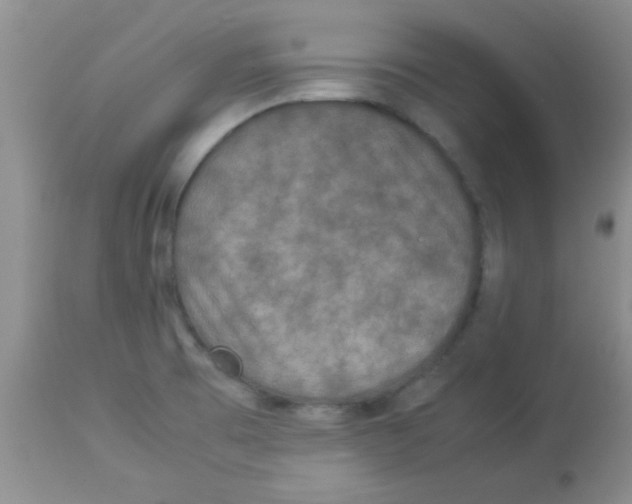 X0000113951473200910231955