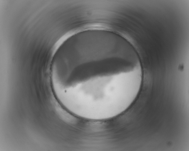 X0000113951474200910231955
