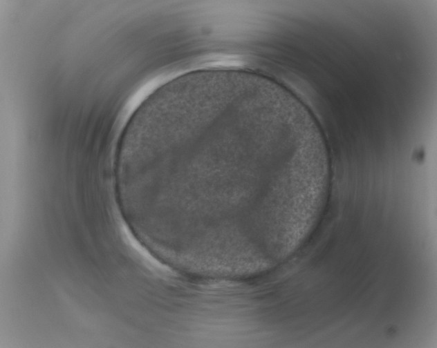 X0000113951475200910231955