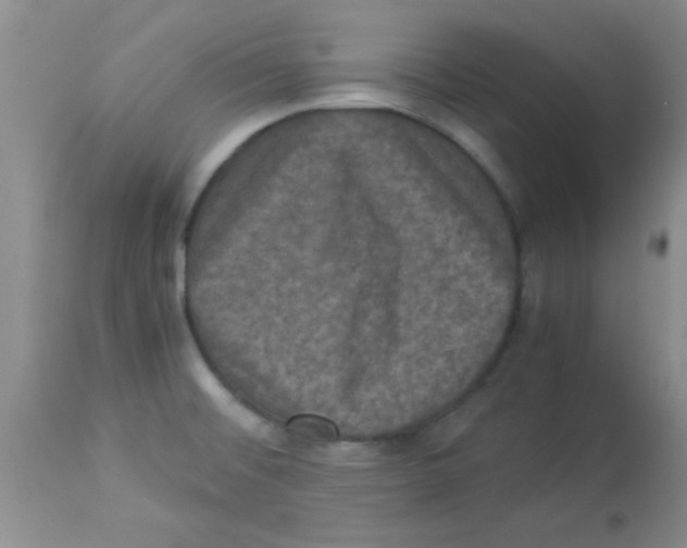 X0000113951476200910231955