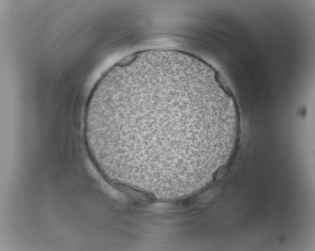 X0000113951477200910231955