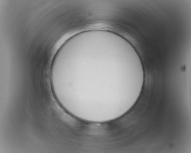 X0000113951478200910231955