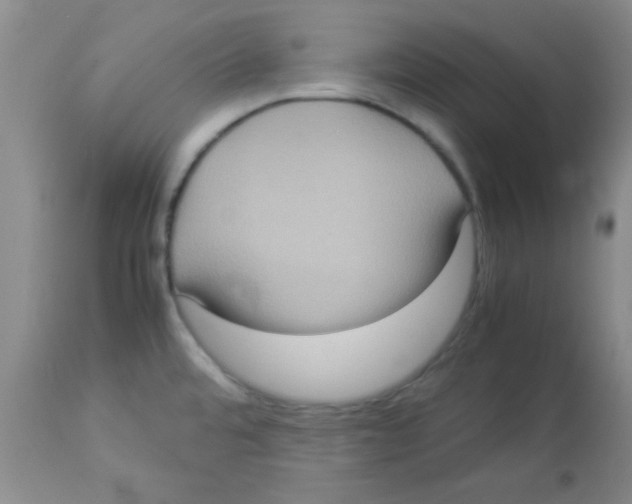 X0000113951480200910231955