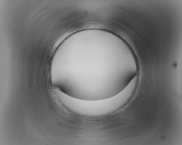 X0000113951481200910231955