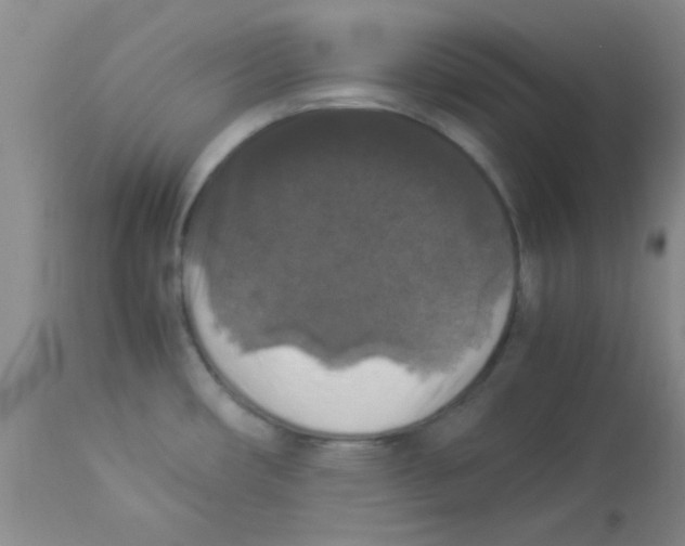 X0000113951482200910231955