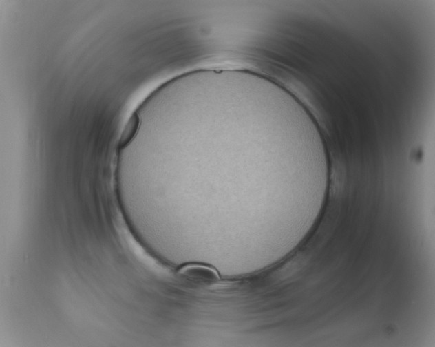 X0000113951484200910231955