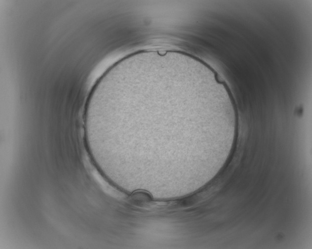 X0000113951485200910231955