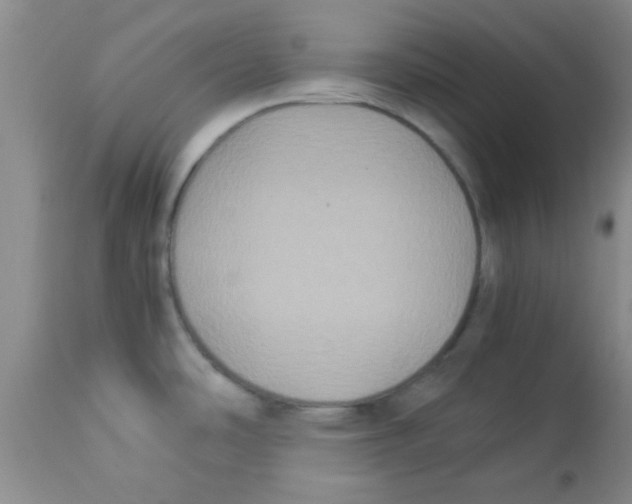 X0000113951486200910231955