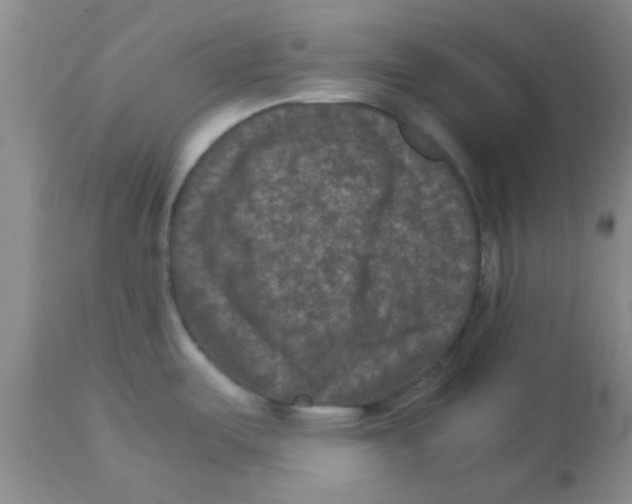 X0000113951487200910231955