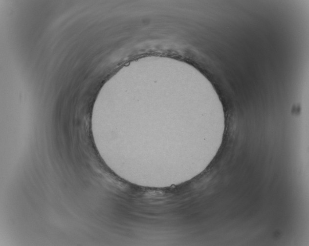 X0000113951489200910231954