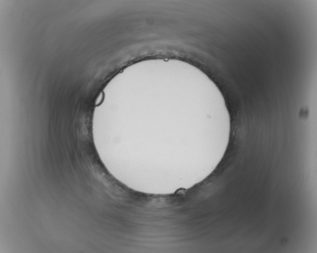 X0000113951490200910231954