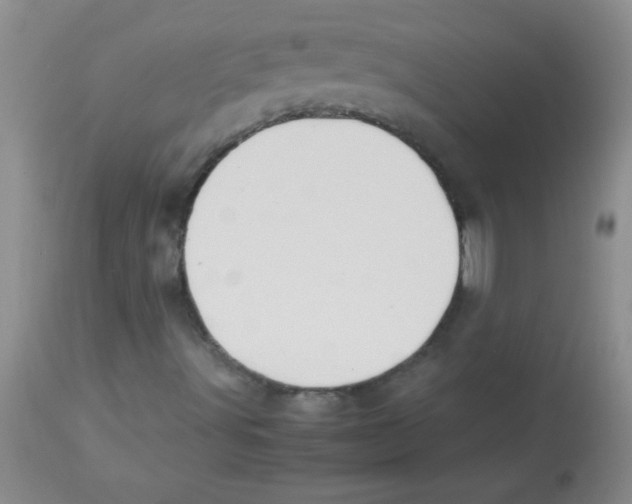 X0000113951491200910231954