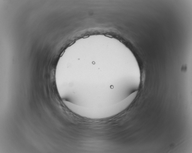 X0000113951492200910231954