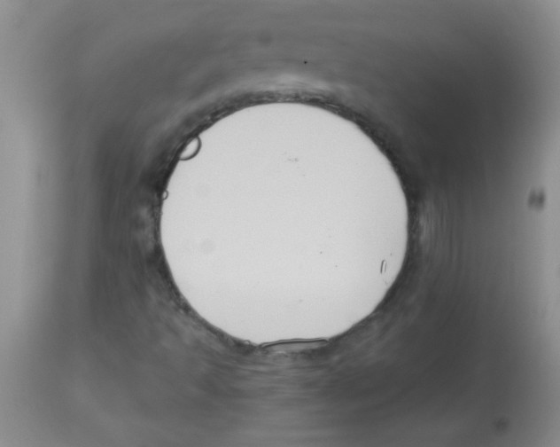X0000113951493200910231954