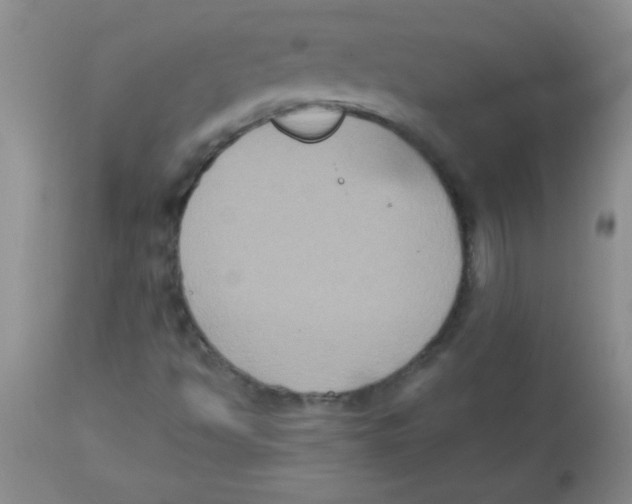 X0000113951494200910231954