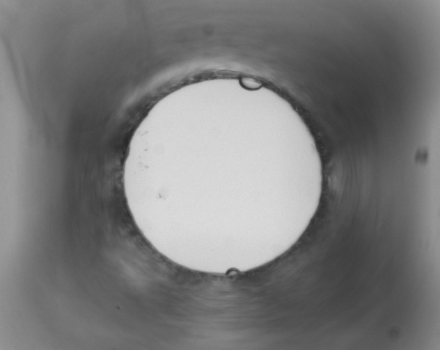 X0000113951495200910231954