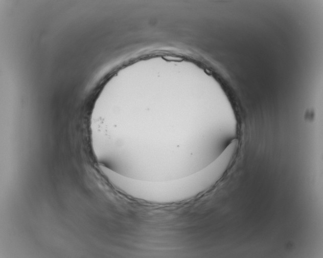 X0000113951496200910231954