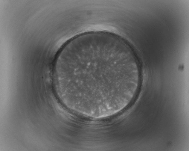 X0000113951497200910231954