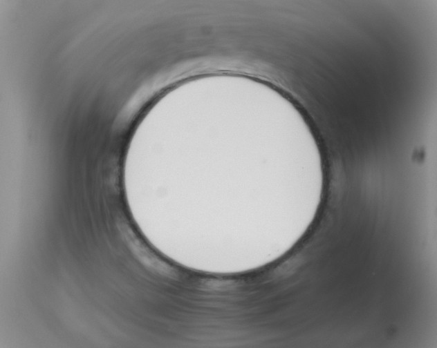X0000113951499200910231954