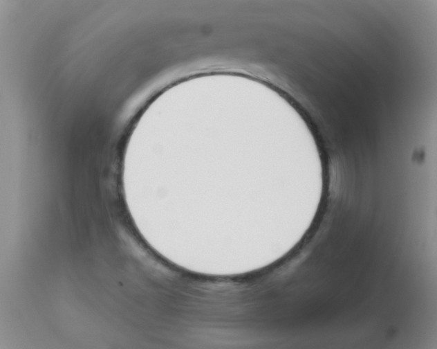X0000113951502200910231954