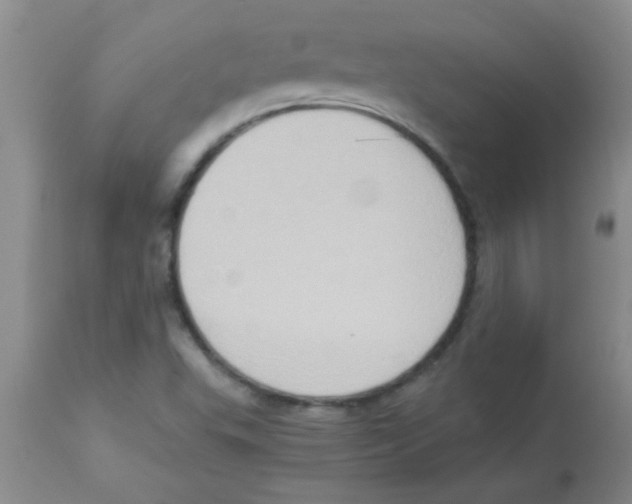 X0000113951503200910231954