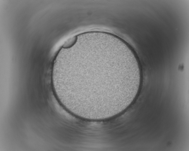 X0000113951504200910231954