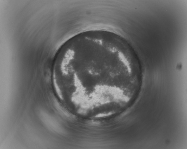 X0000113951505200910231954