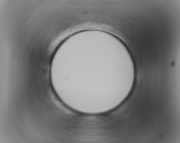 X0000113951507200910231954