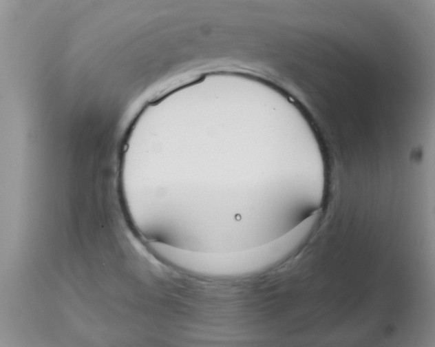 X0000113951508200910231954