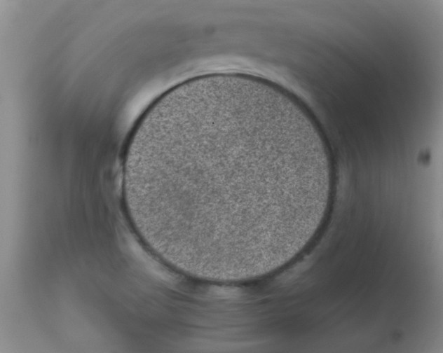 X0000113951509200910231954