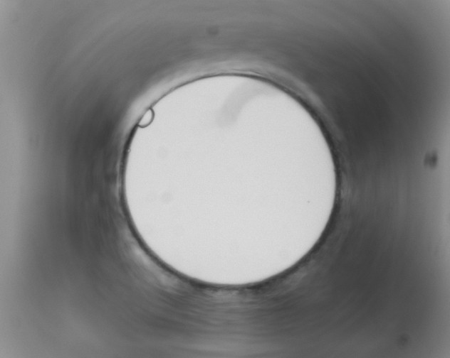 X0000113951512200910231955