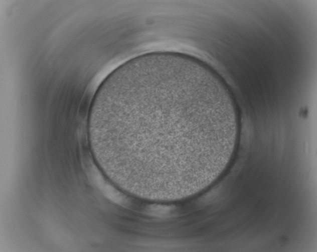 X0000113951513200910231955