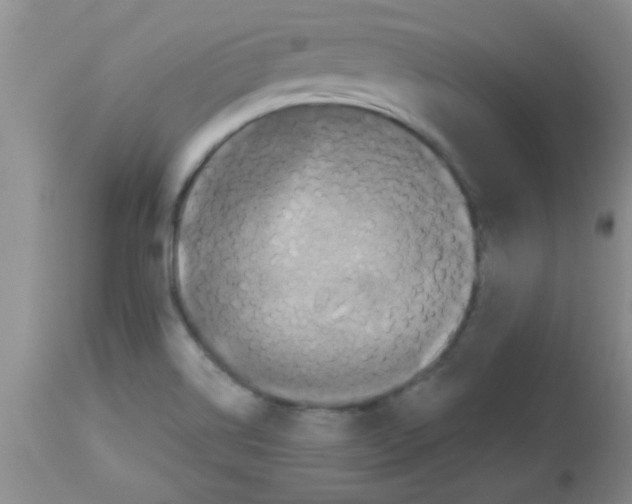 X0000113951514200910231955