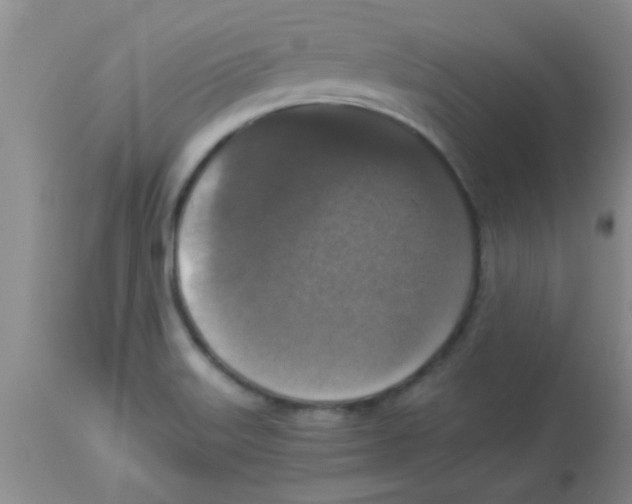 X0000113951515200910231955