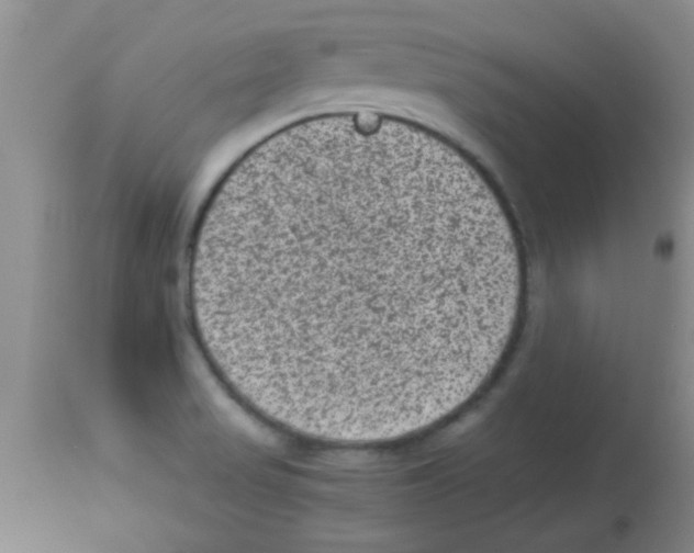 X0000113951517200910231955