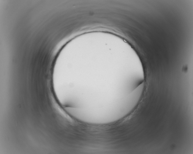 X0000113951518200910231955