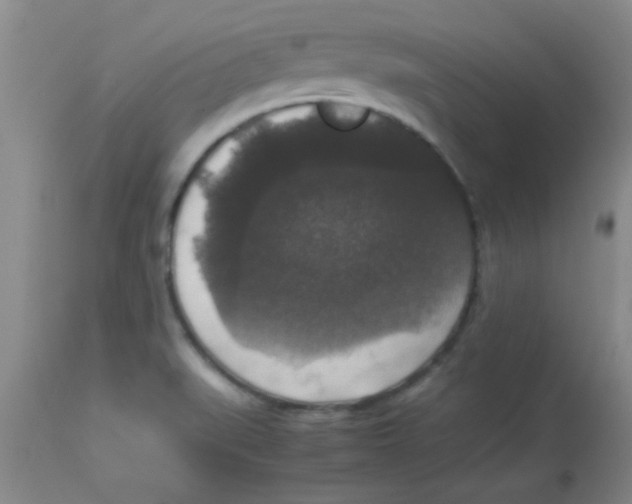 X0000113951519200910231955